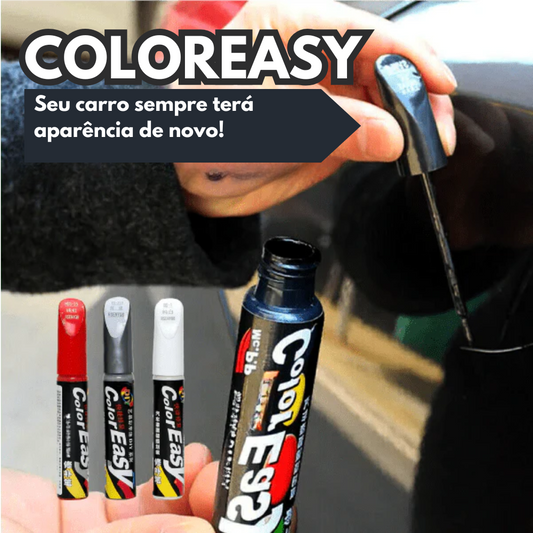 ColorEasy: Reparador de Pintura Express